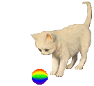 le chat